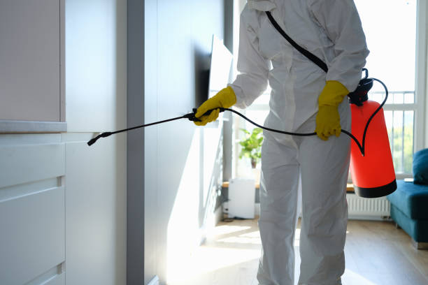 Best Professional Mold Removal  in Franklin, WI