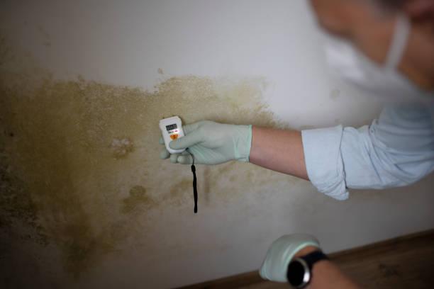 Attic Mold Removal in Franklin, WI